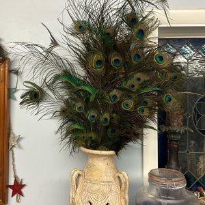 Peacock feathers, whole bunch sold together, vase not included.